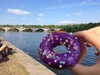 Donuts Equal Boat Speed