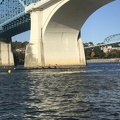 IMG 8867
