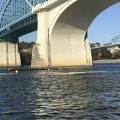 IMG 8868