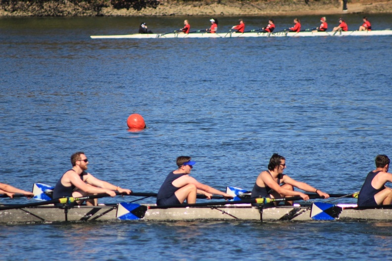 IMG_8236.JPG