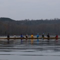IMG 5133