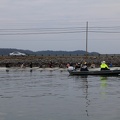 IMG 5161