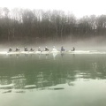 IMG 9755