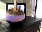 IMG 0338