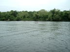 DSC00991