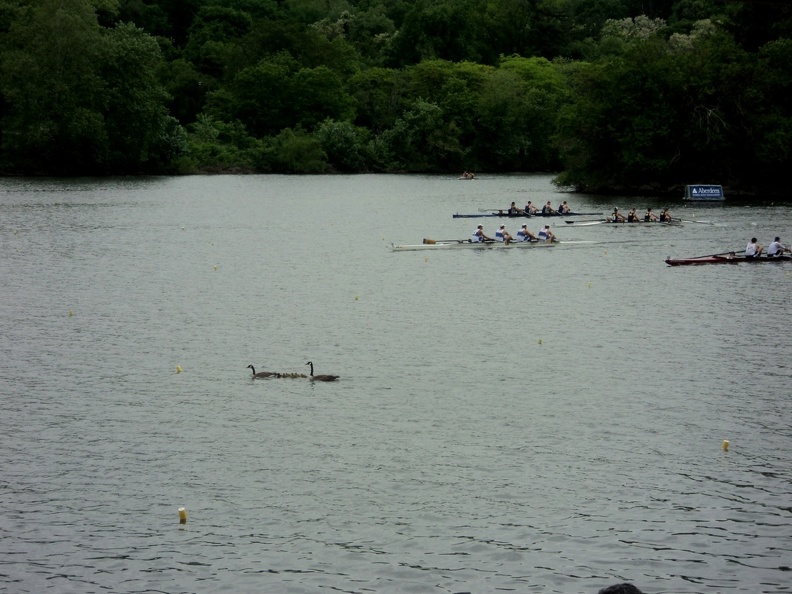 DSC01041.JPG
