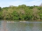 IMG 0281