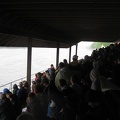 Grandstands 001