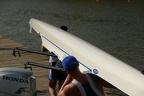 DAR 6528