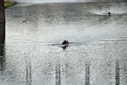 DSC 0016a