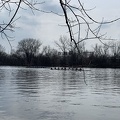 IMG 6469