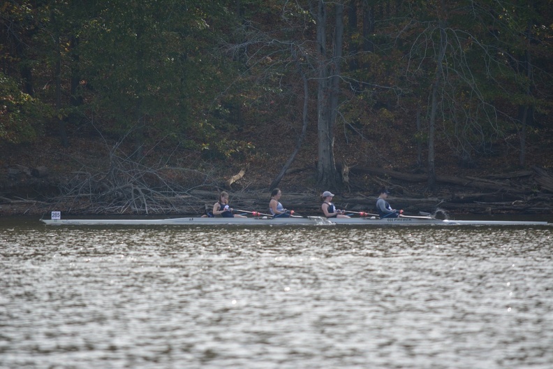 DSC_0703.JPG