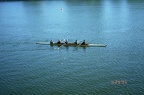 gov cup 14