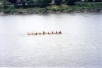 gov cup 06 WV8