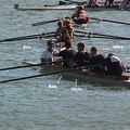 pic16