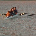 pic14
