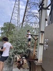IMG 4516