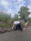 IMG 4523