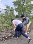 IMG 4532