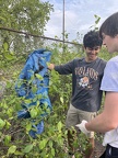IMG 4570