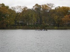 IMG 0573