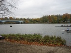 IMG 0601