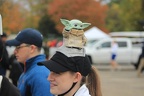 IMG 7570