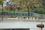IMG 7593