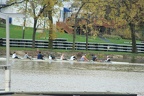 IMG 7596