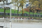 IMG 7597