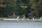IMG 7619