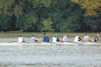 IMG 7621