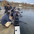 IMG 0231