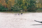 FH000018