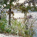 Image022